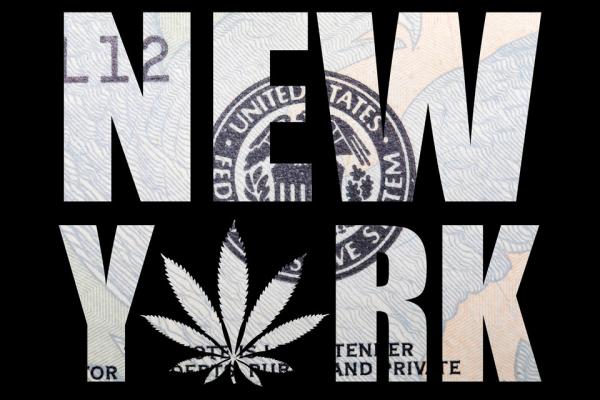 New York cannabis regulator barred from processing retail applications