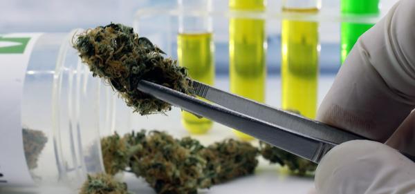 Minnesota Lab Closes Cannabis Testing&hellip;