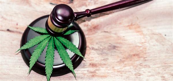 Former Cannabis CEO Ordered to Pay Over&hellip;