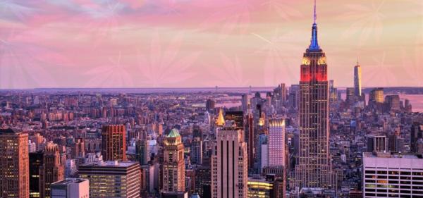 New York Cannabis Agency Appoints New…