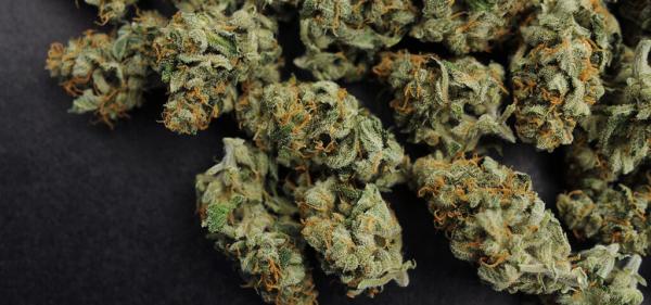 Kentucky’s First Medical Cannabis…