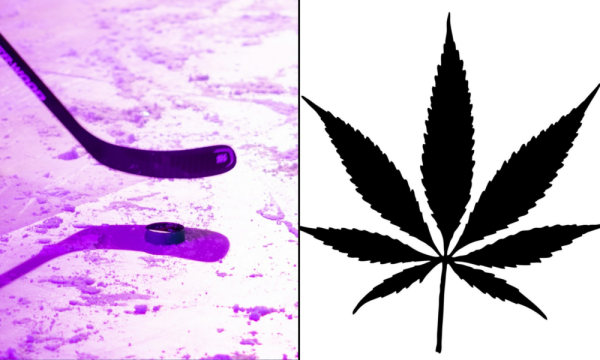 NHL Players Are Choosing Marijuana And…