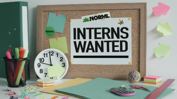 The Value of a NORML Internship