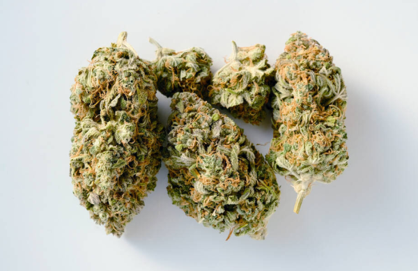 Maine to Distribute 12,000 Free Lockable Marijuana Storage…