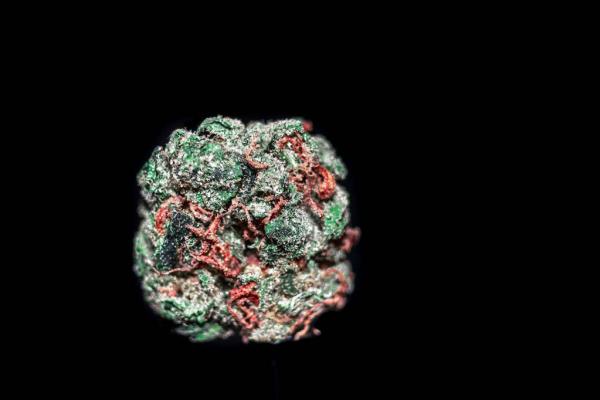 Everything Marijuana Prohibitionists…