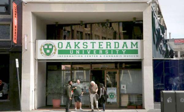 Oaksterdam U class kicks off medical…
