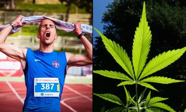 CBD Has ‘Potentially&hellip;