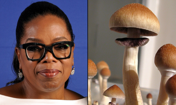 photo of Oprah Highlights Cultural ‘Shift’ Around Psychedelics—But Worries About ‘Losing My Mind’ If She Experimented image