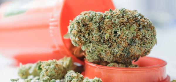 Minnesota City Launching State’s First&hellip;