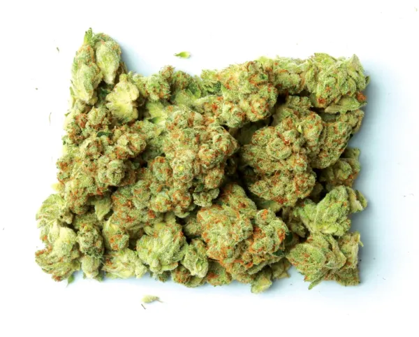 Oregon Marijuana Sales Reach Nearly $80…