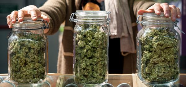 Report: Cannabis Industry Jobs Fell&hellip;