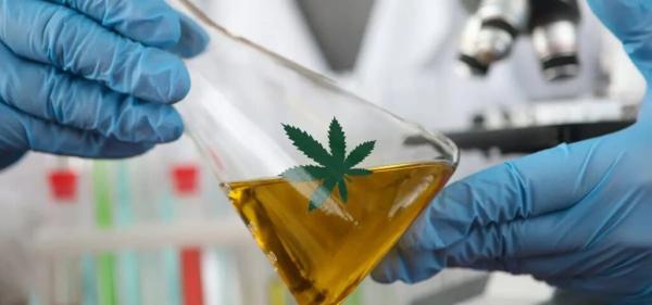 Arizona Officials Announce Cannabis Recall Over Pesticide&hellip;