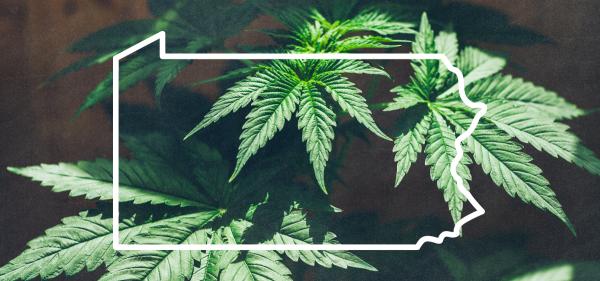 Pennsylvania Medical Cannabis Program Audit Calls for&hellip;