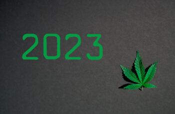 photo of A Look At Cannabis In 2023 image