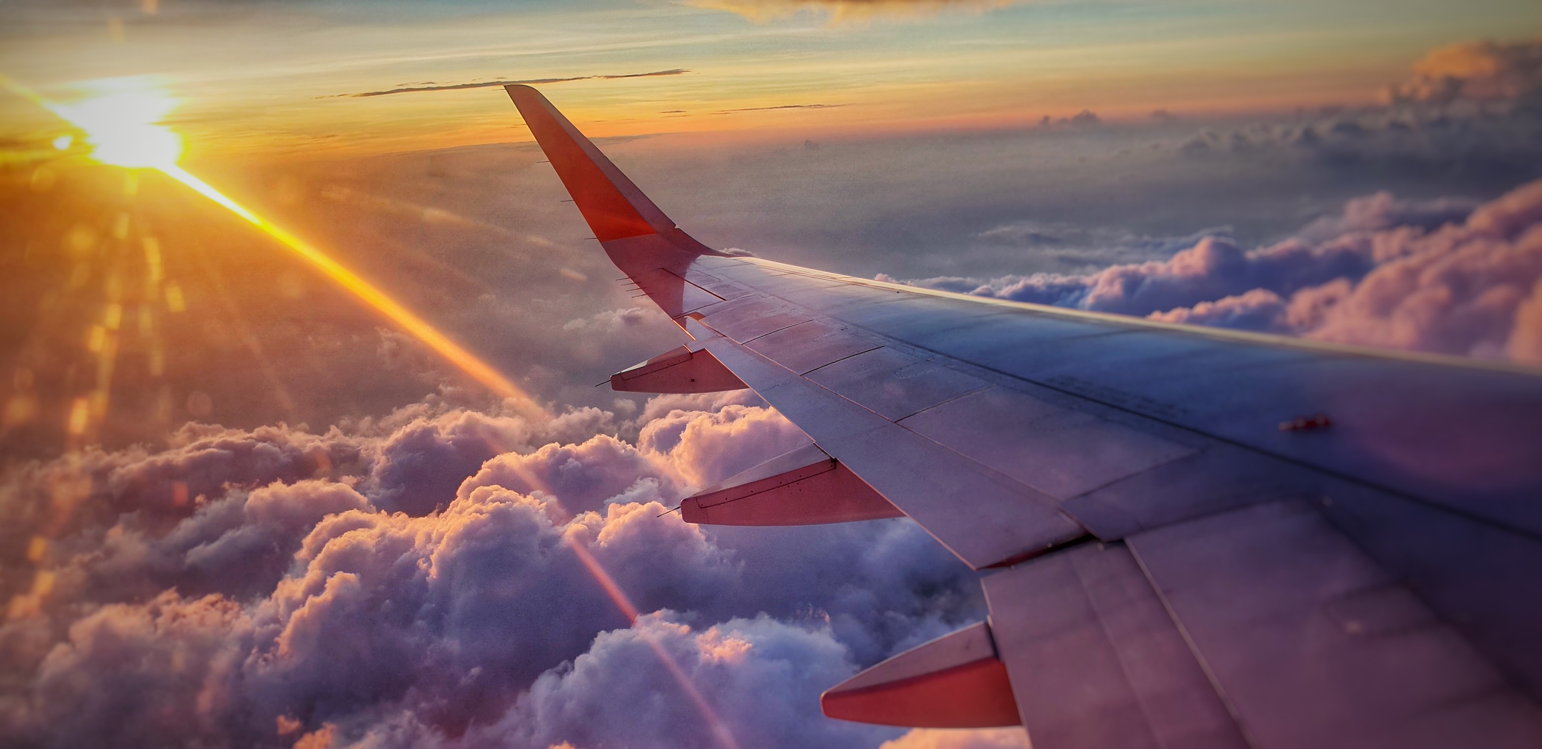 photo of America’s Airline Traffic Is Now Full of Weed image
