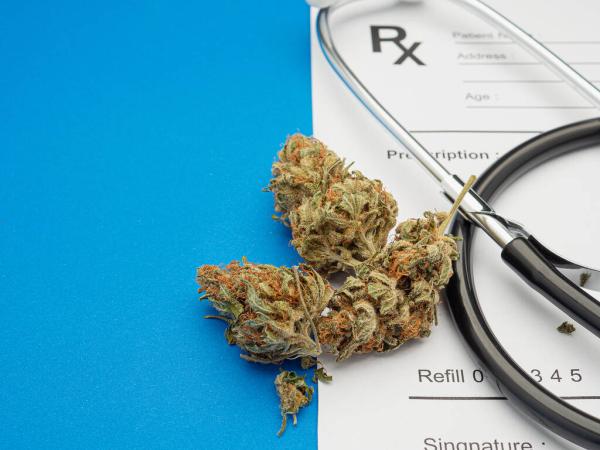 Best Dispensaries in Miami, FL: 7 Top&hellip;