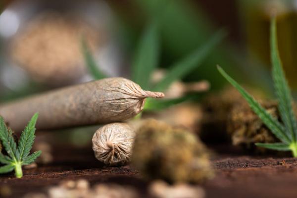 U.S. Congress Now Has 34 Marijuana and…