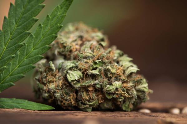 DEA Urges Judge to Move Marijuana to…