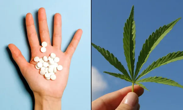 Marijuana Legalization Is Linked To&hellip;