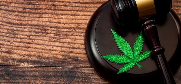 Anti-Cannabis Coalition Sues Trump&hellip;