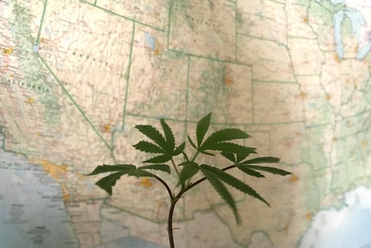 photo of Five States Voting on Marijuana Measures in November, Including Colorado image