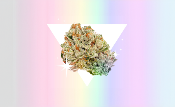 Shop LGBTQIA+ brands and dispensaries…