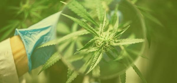 Unreliable Lab Results Prompt New York&hellip;