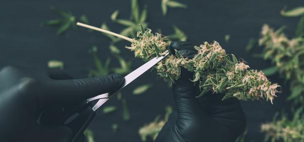 Illinois Cannabis Revenues Down 13%&hellip;