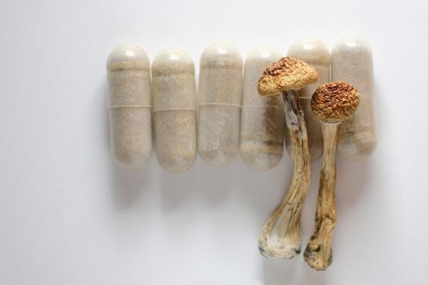 photo of Psychedelics On Collision Course With FDA Says New JAMA Article image