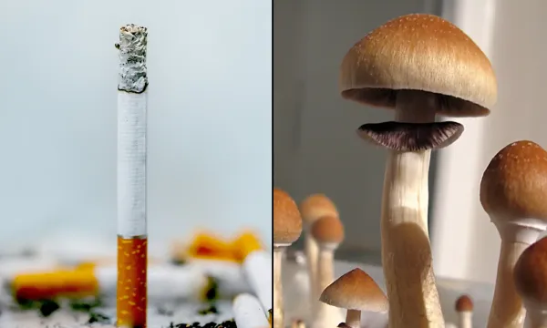 Psilocybin Helps People Quit Cigarettes&hellip;