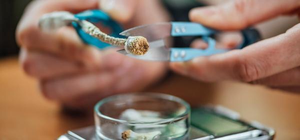 FDA Fast-Tracks Review Process for&hellip;