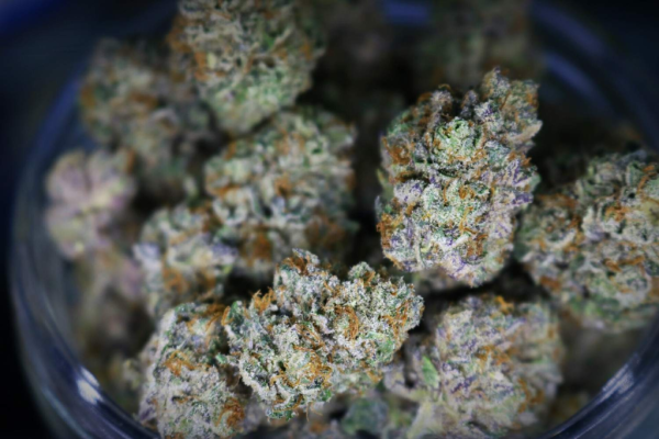 photo of Trulieve CEO Praises Trump’s FDA Pick Heidi Overton, Says She’s Been ‘Key’ to Marijuana Rescheduling image
