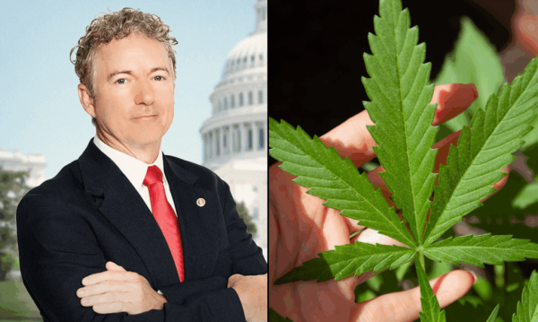 GOP Senator Attends Hemp Business&hellip;