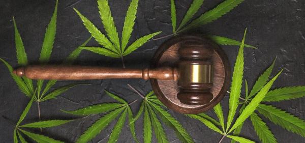 DEA Judge Puts Federal Cannabis…