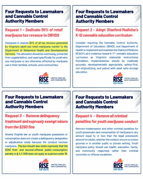 Virginia Youth Group Urges Lawmakers to…