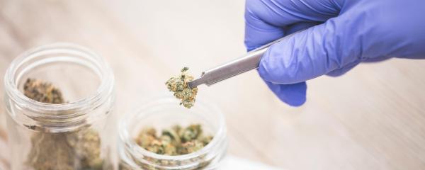 Maine Regulators Propose Rules to…