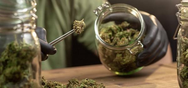 Montana Surpasses $1 Billion In Total&hellip;