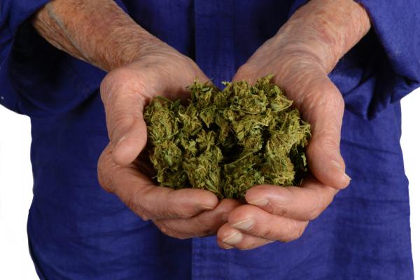 photo of Review of Studies Finds Cannabis May Not Be Linked To Cognitive Dysfunction In Seniors image