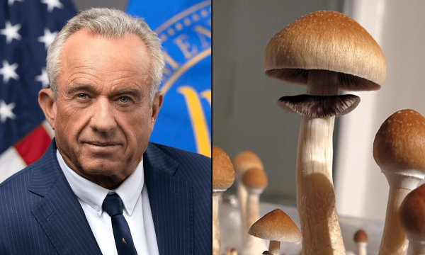 RFK Still Uses Psychedelics, Book From…