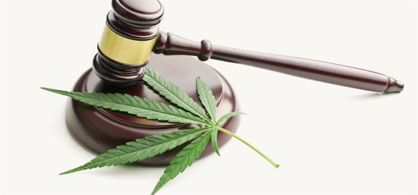 Judge Halts Rhode Island Cannabis…