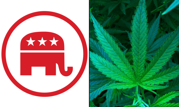 New Republican National Committee…