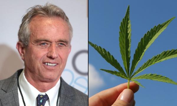 photo of RFK Jr. Attacks Harris’s Marijuana Record After Endorsing Trump image