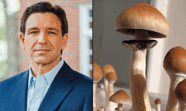 DeSantis Signs Bill To Criminalize…