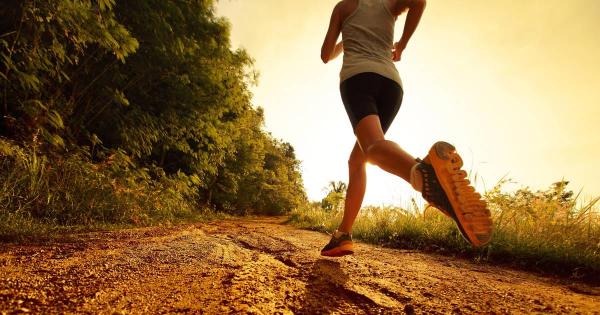 CBD May Support Post-Exercise Recovery&hellip;