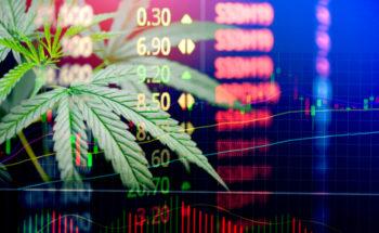 photo of 8 Best Cannabis Stocks of February 2024 image