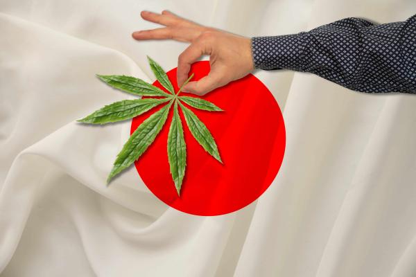The Cannabis Market Is Booming in Japan