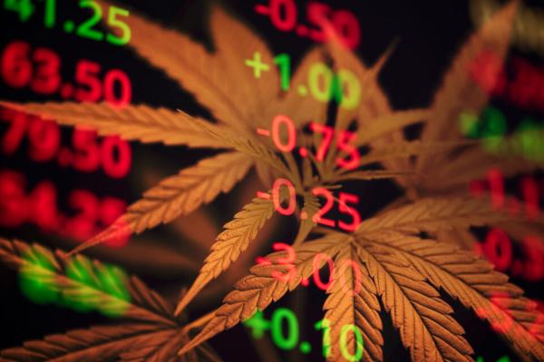 photo of Cannabis stocks tumble as rescheduling hopes get slapped image