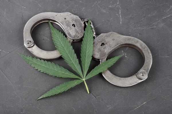 photo of People of Color Are Still Disproportionately Targeted for Cannabis Arrests in New York, Despite Legalization on the&hellip; image