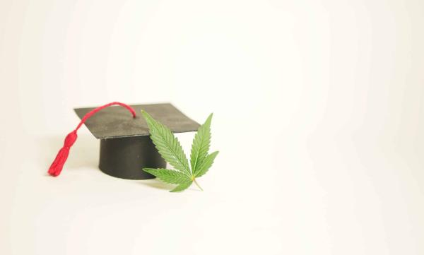 photo of Ohio Cannabis School Receives Accreditation image