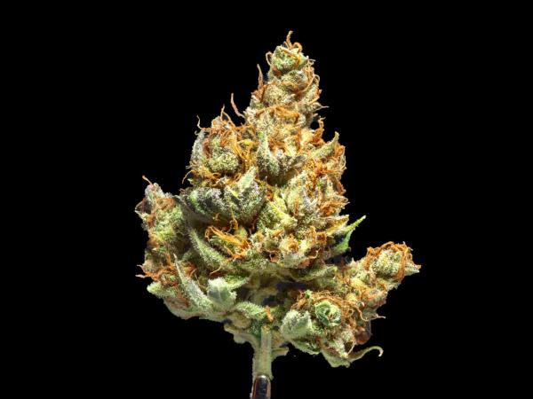 photo of Proposed Tennessee Rules Seek To Close Hemp THCA Loophole image